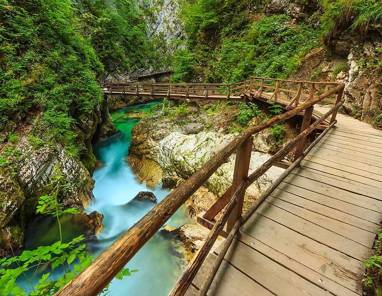 9c37d2_c731b6b3ff674a4ba43336ecc4468db7~mv2_d_2121_1414_s_2