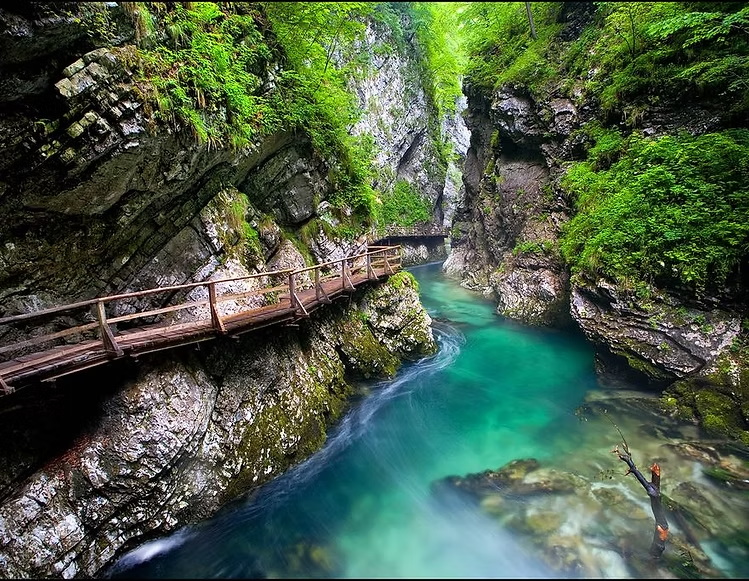 9c37d2_fc8d46f637b242b9b79ed5db7015b16c~mv2