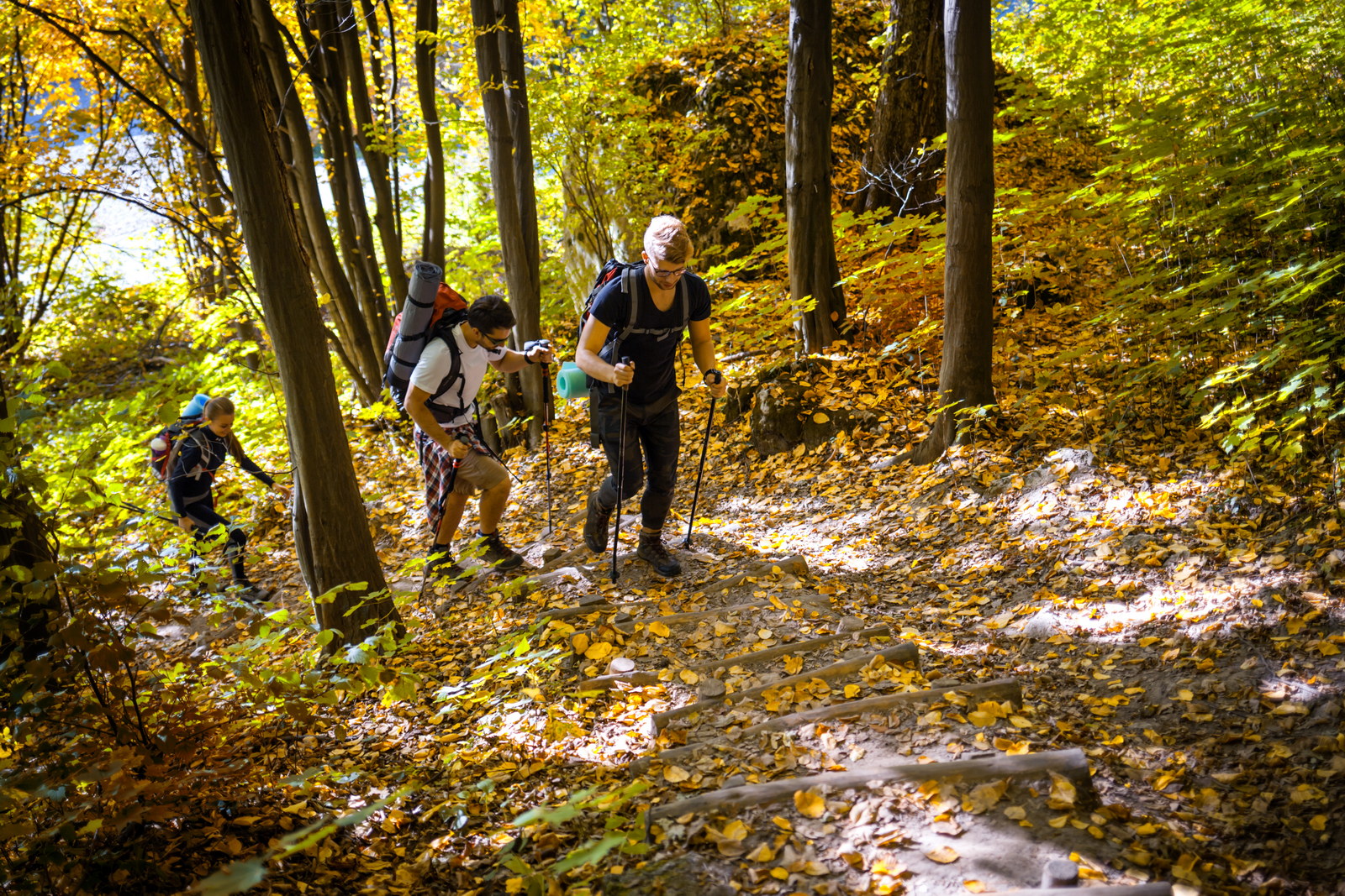 Group of friends hiking through the mountain path, trekking trail