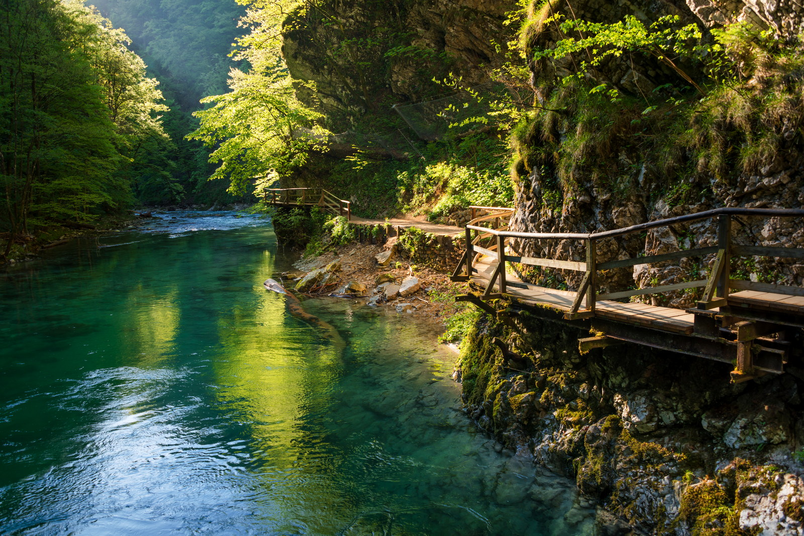 Spring in Vintgar Gorge in Slovenia