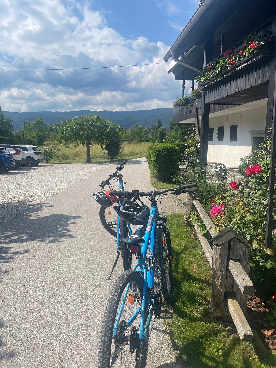 Bled-KTM-Mountain-Bike-Rental_08