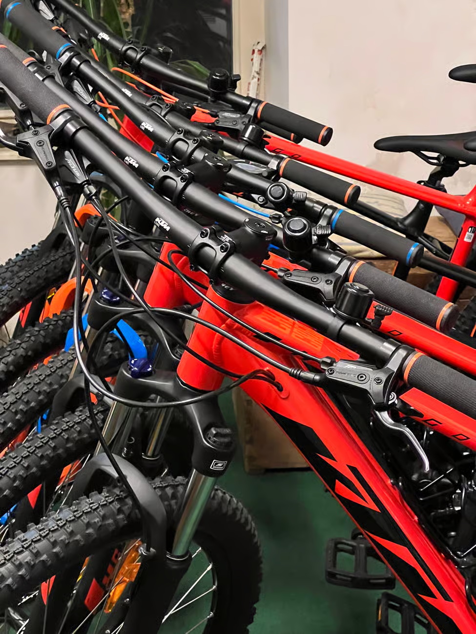 Bled-KTM-Mountain-Bike-Rental_18