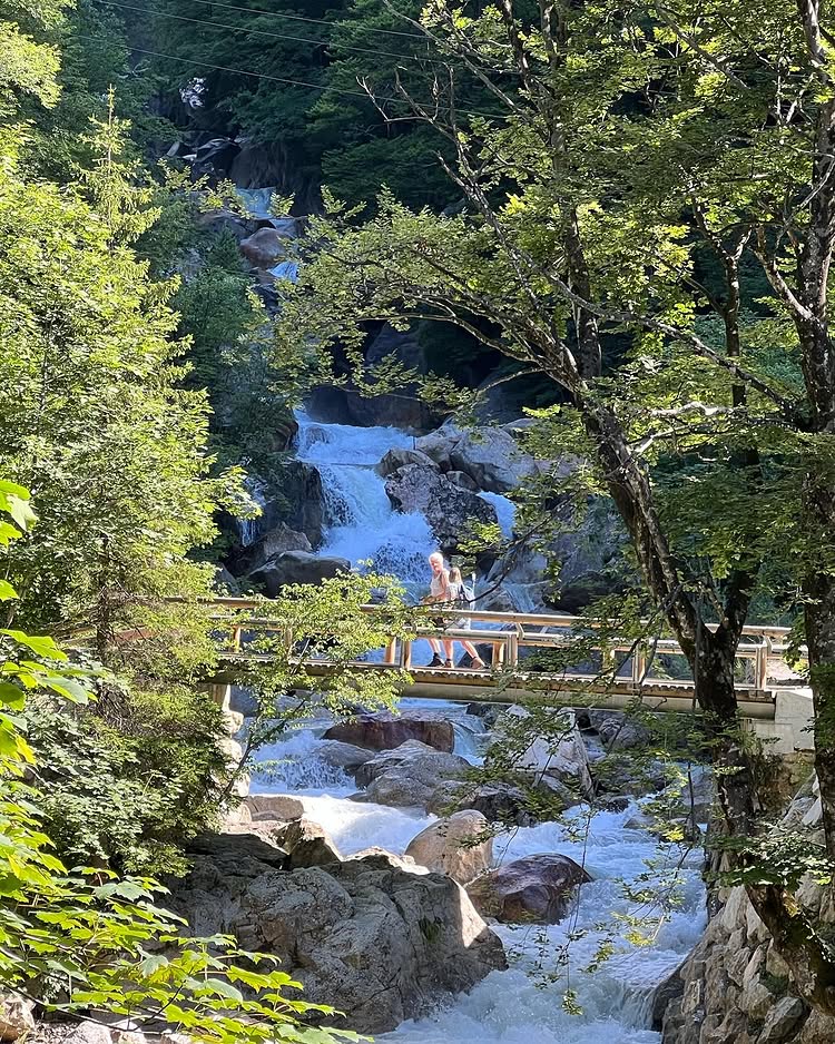 Crystal-River-Hike_26