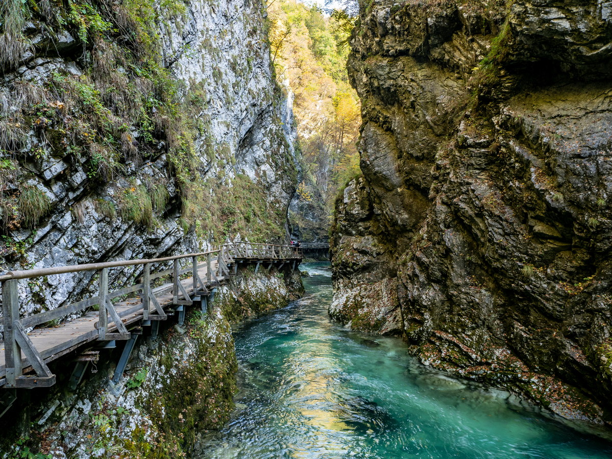Radovna river in Vintgar gorge, Triglav national park, Slovenia