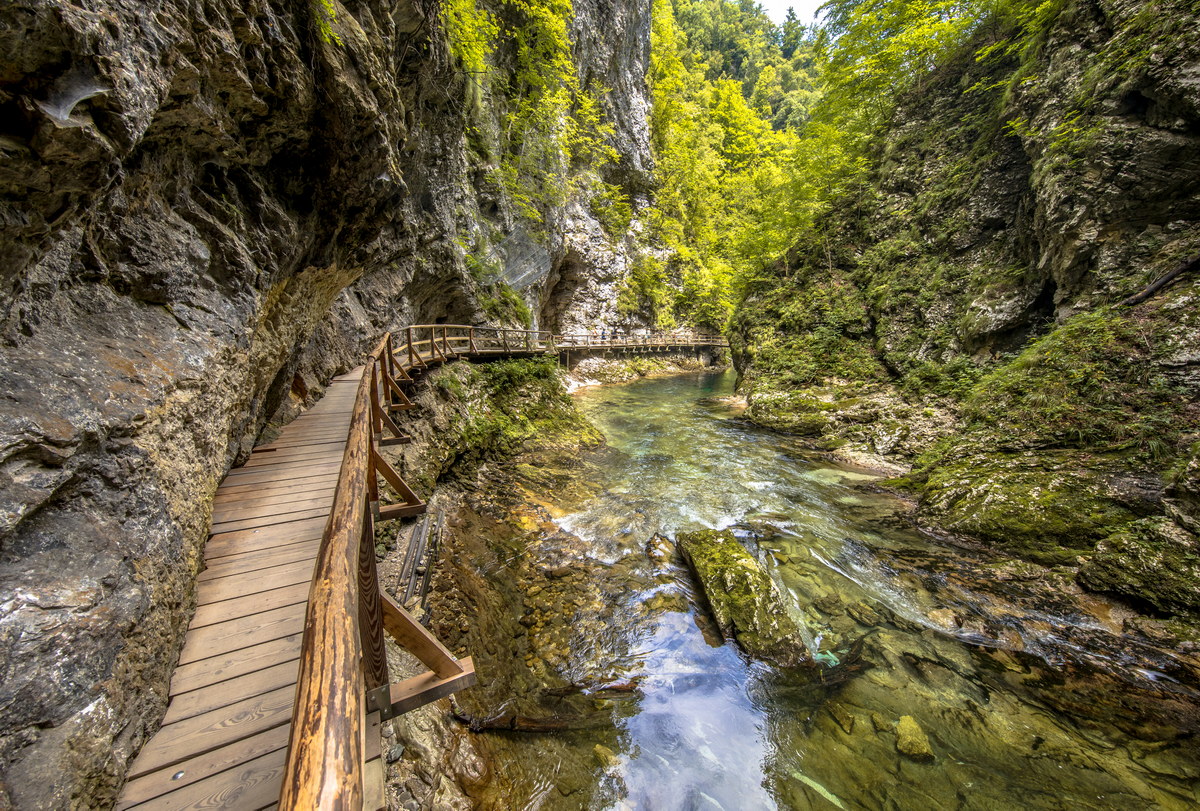 Soteska vintgar gorge with no people on boardwalk along river