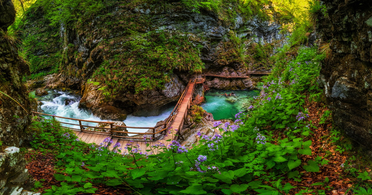 Spring in Vintgar Gorge