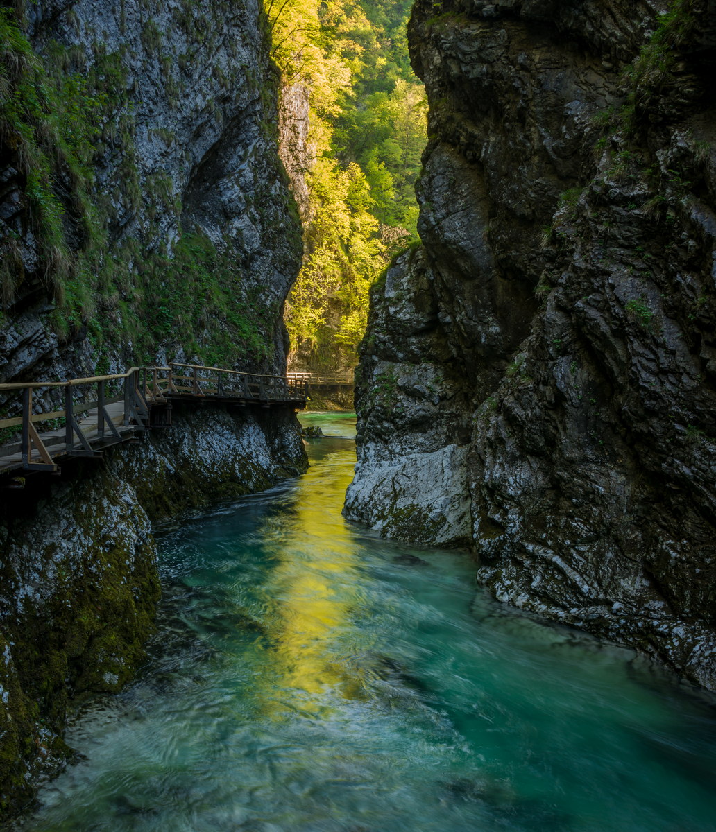 Spring in Vintgar Gorge in Slovenia