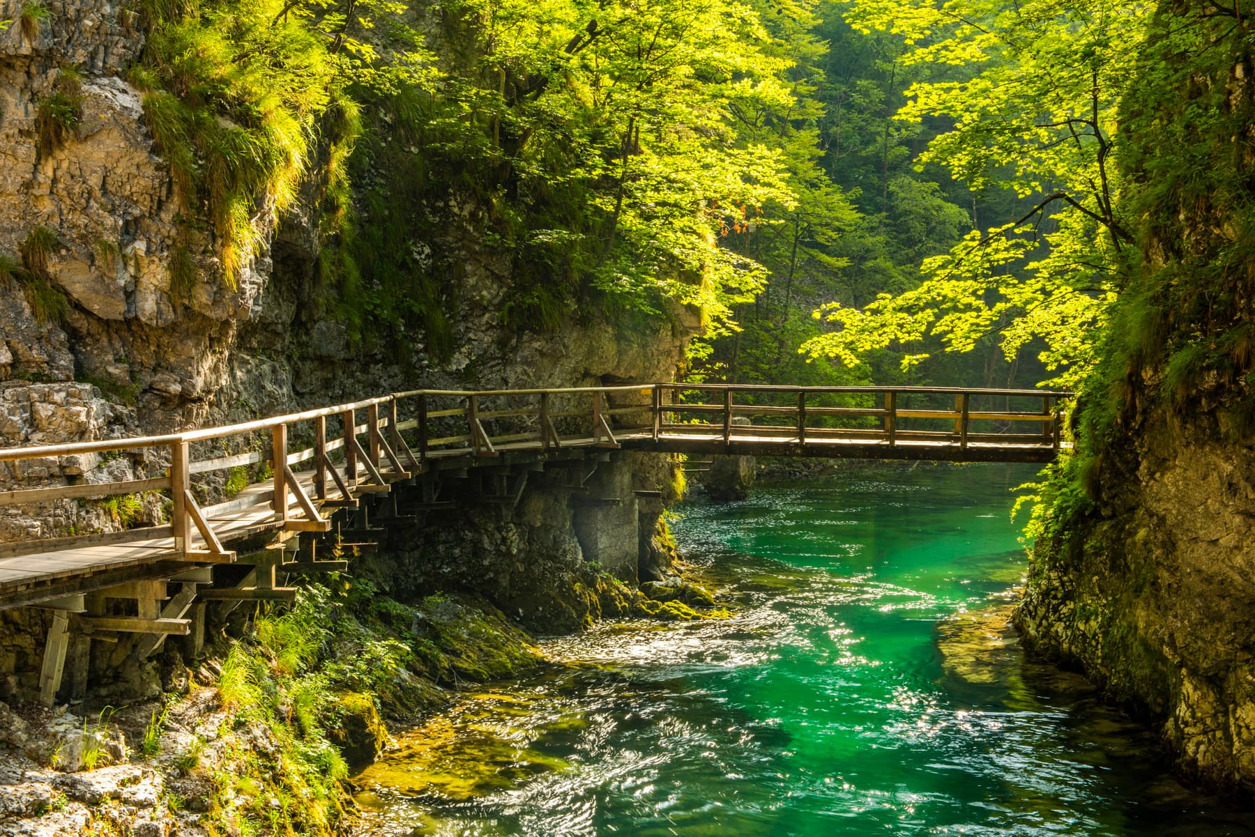 vintgar-gorge-canyon-in-slovenia-near-lake-bled-w-2025-03-25-02-19-23-utc_2