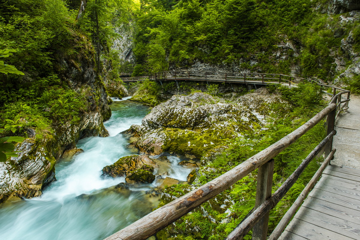 Vintgar Gorge in Slovenia. Europe Beautiful Wild Nature.