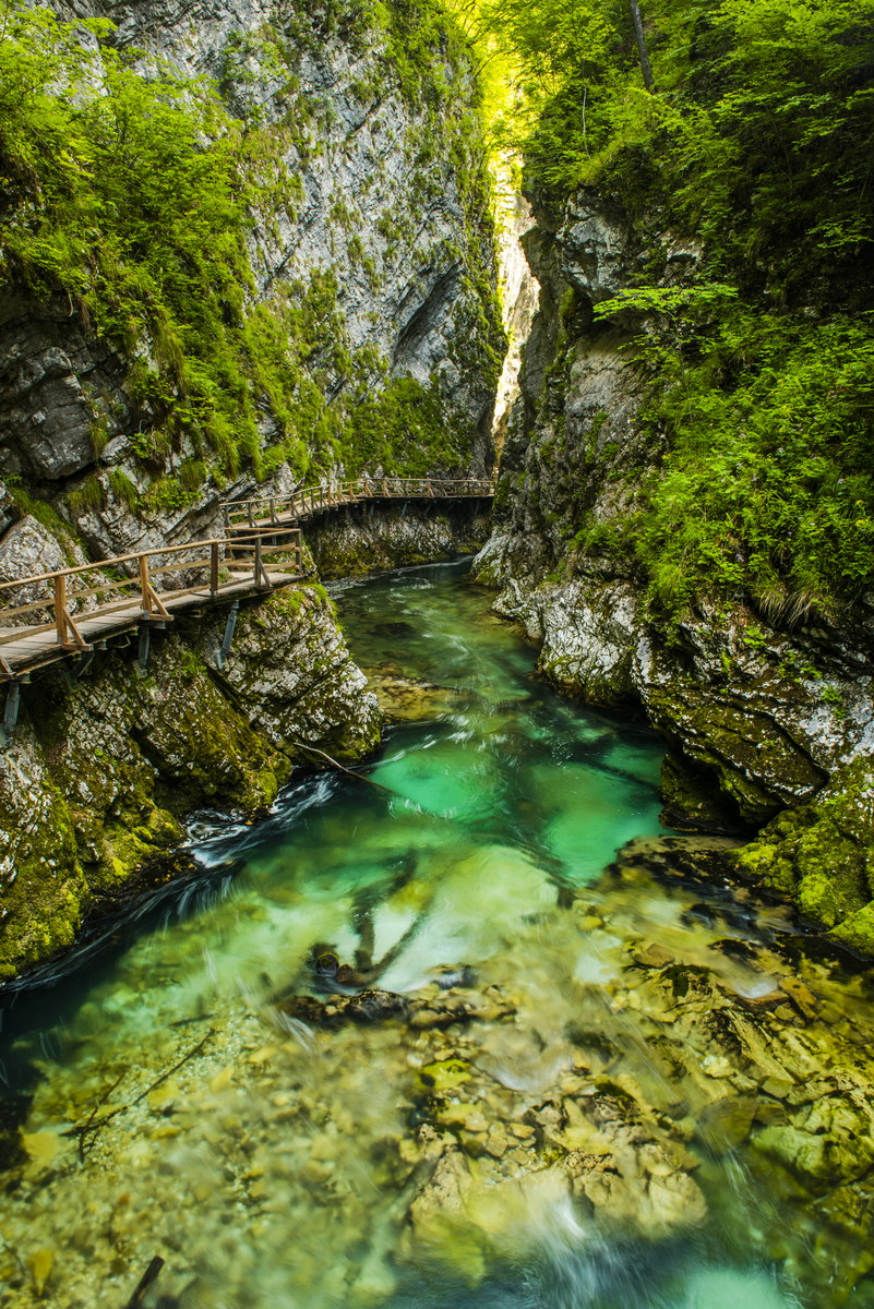 Vintgar Gorge in Slovenia. Europe Beautiful Wild Nature.