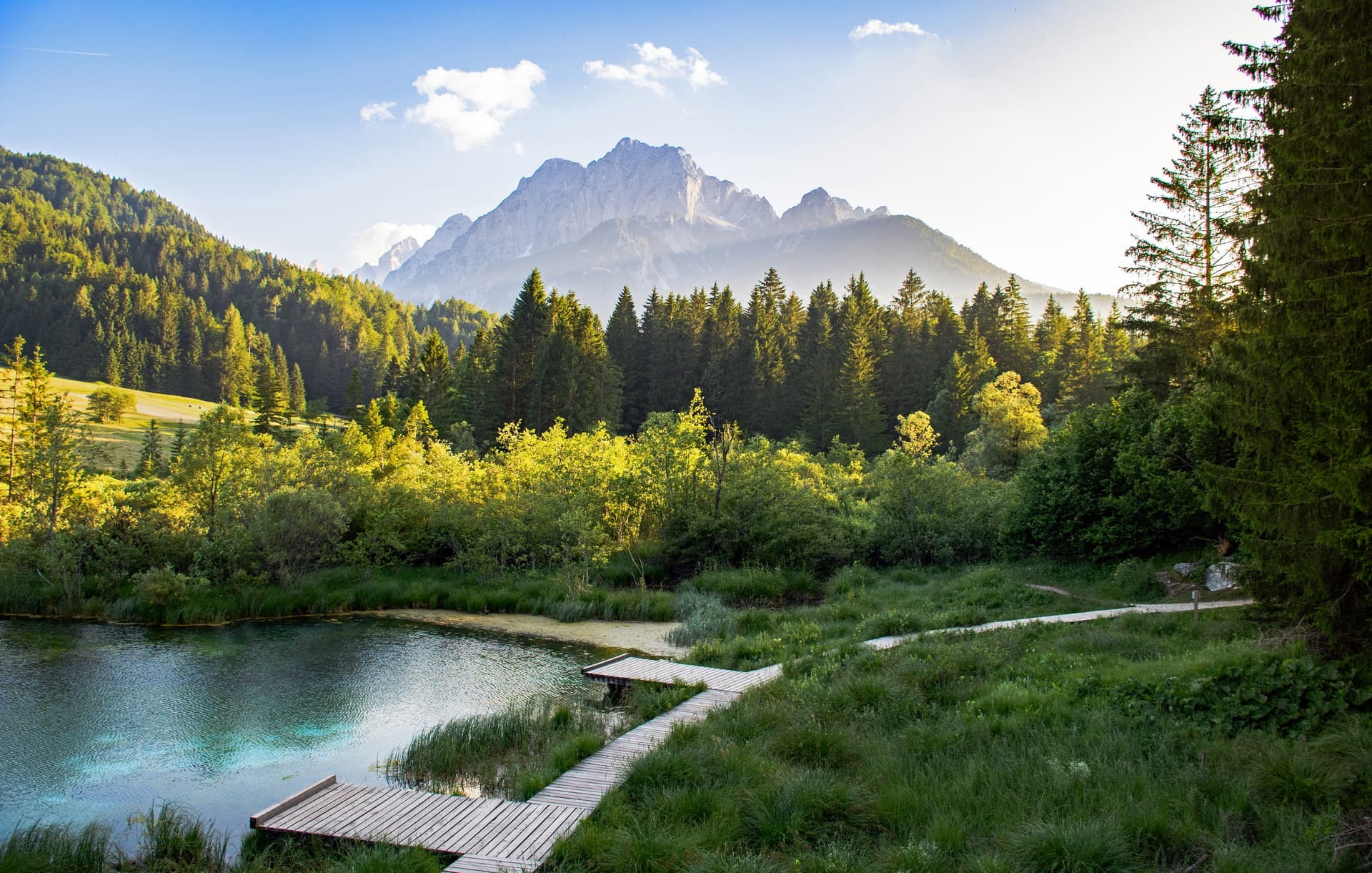 walkway-around-idyllic-lake-surrounded-by-forest-a-2025-03-08-21-01-09-utc_2