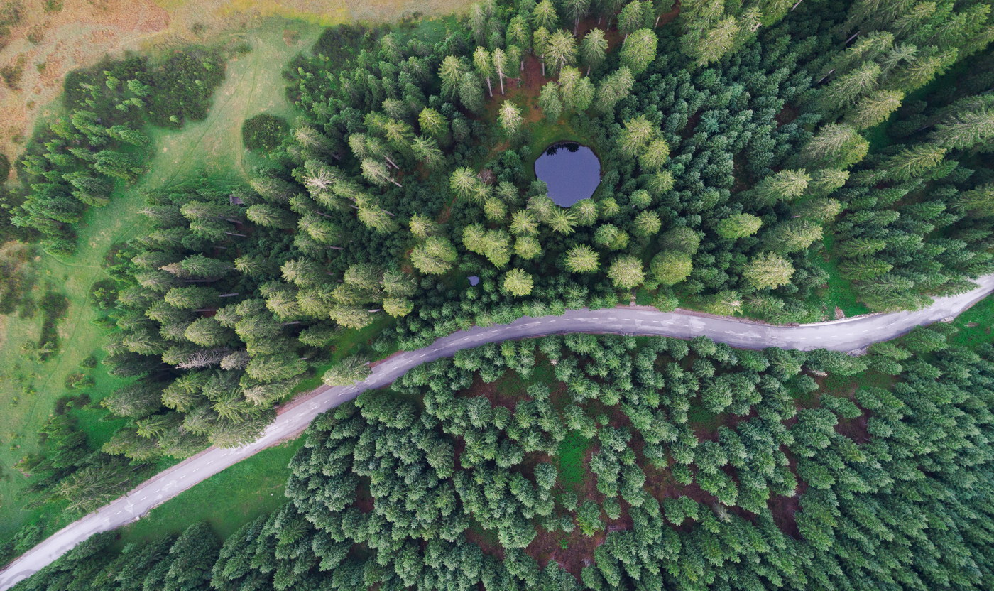 Aerial view of Pokljuka forest and meadows